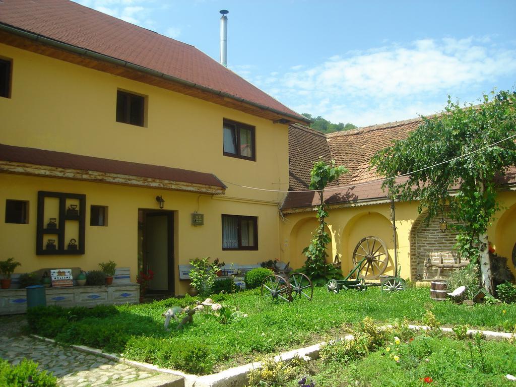 Pensiunea Domnescu Saliste  Exterior photo