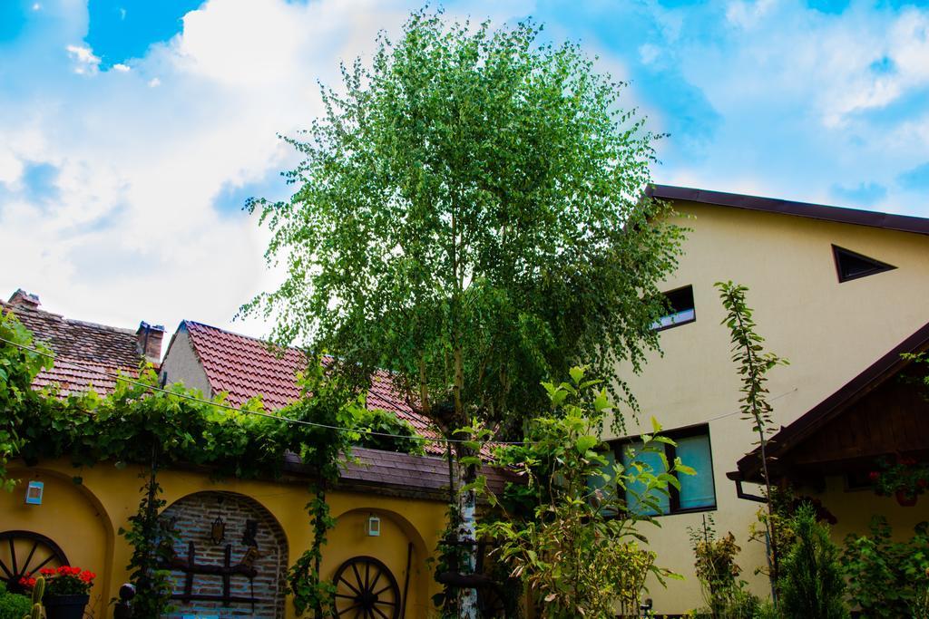 Pensiunea Domnescu Saliste  Exterior photo