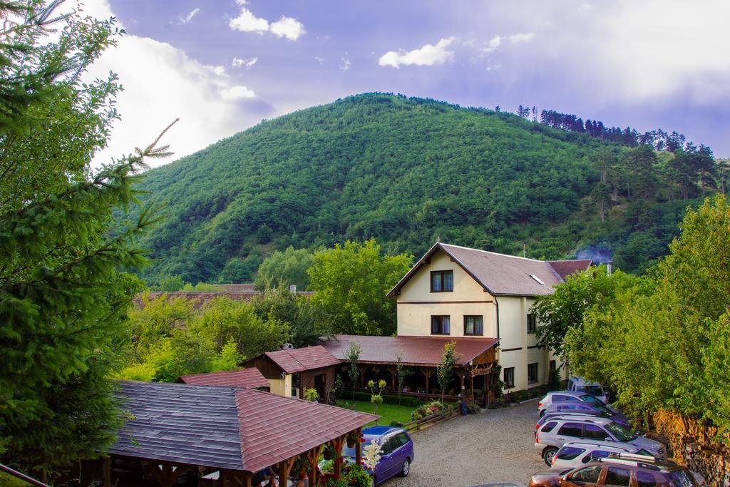 Pensiunea Domnescu Saliste  Exterior photo