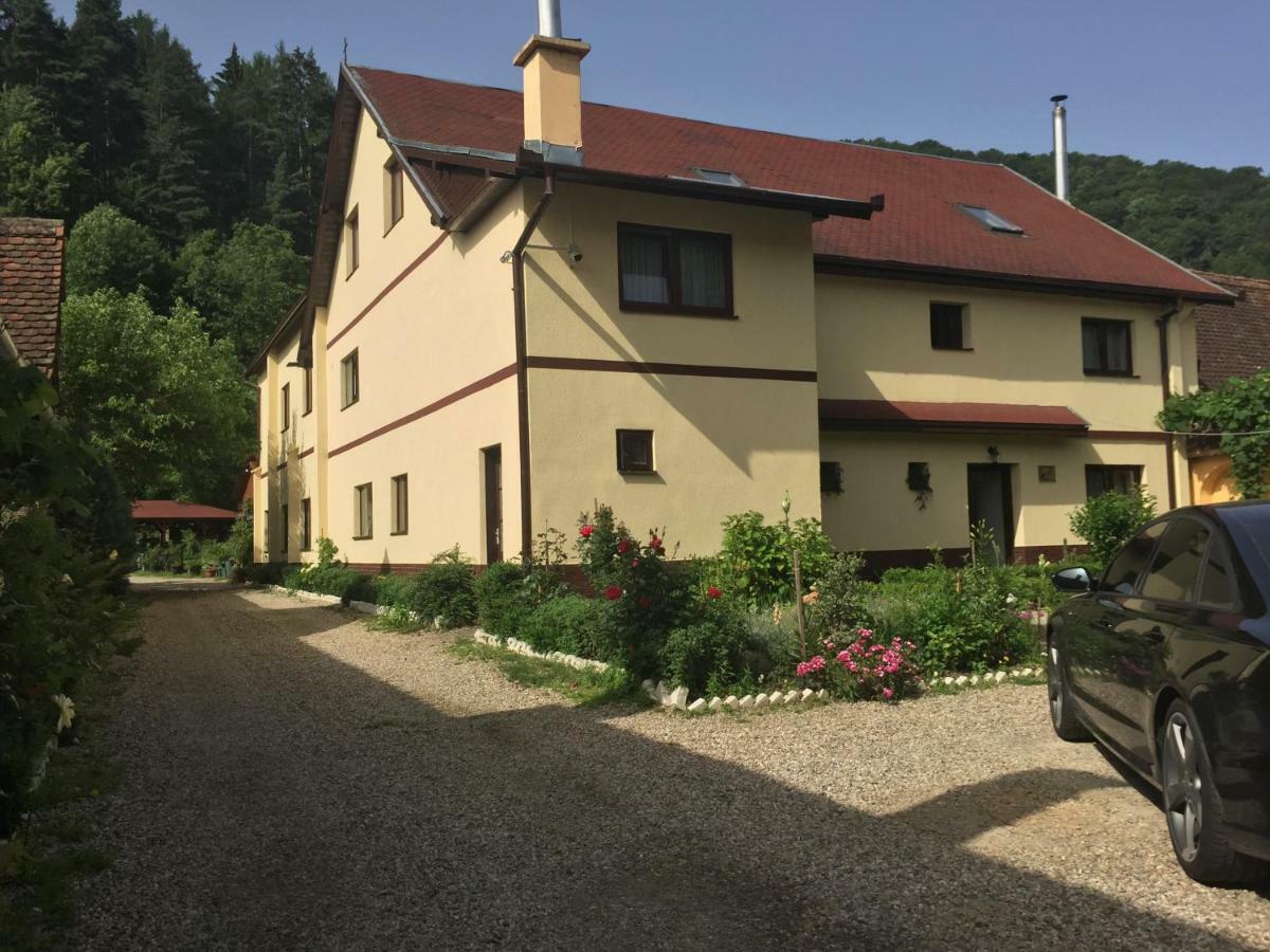 Pensiunea Domnescu Saliste  Exterior photo